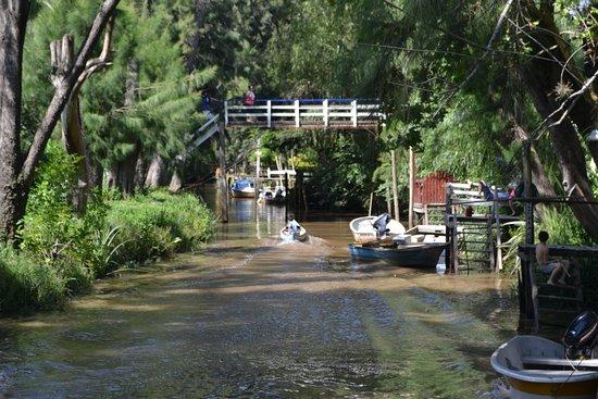 Sendero de Caminatas Arroyo Rama Negra